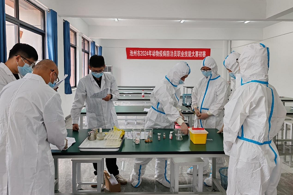 1725533529269548.png 图片2.png