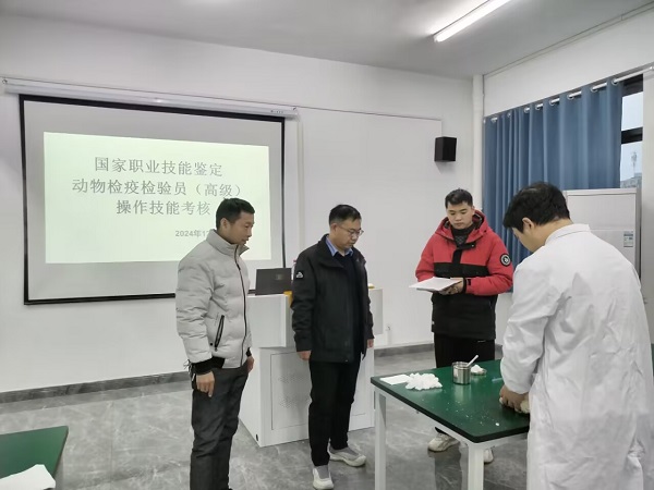 1734517417200307.jpg 1734517417200307.jpg