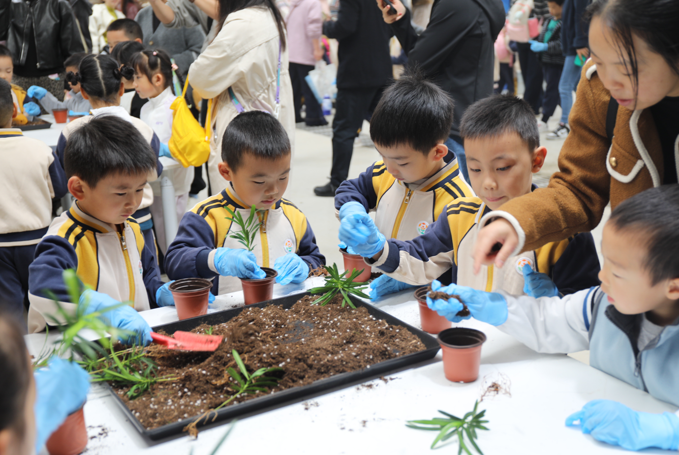 1761888613664887.png 1761888613664887.png